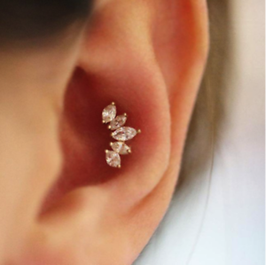 Detail Conch Barbell Nomer 54