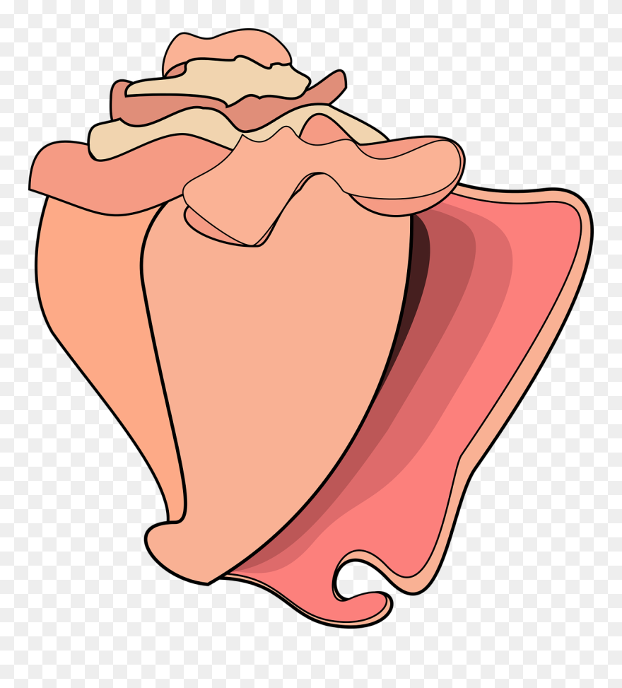 Detail Conch Clipart Nomer 16