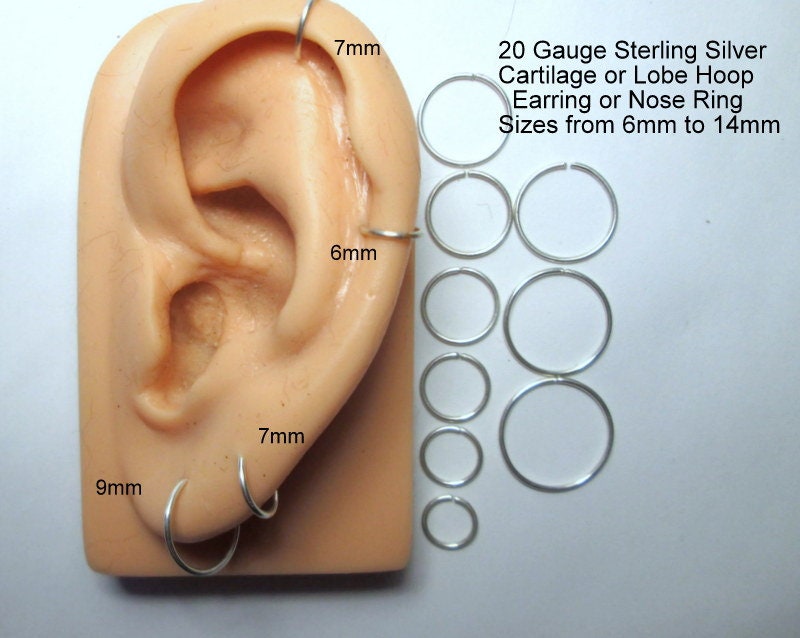 Detail Conch Gauge Size Nomer 10