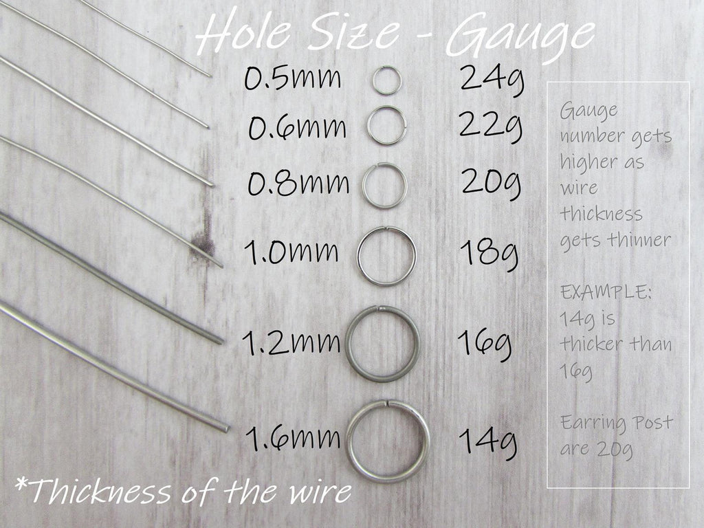Detail Conch Gauge Size Nomer 17