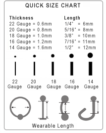 Detail Conch Gauge Size Nomer 4