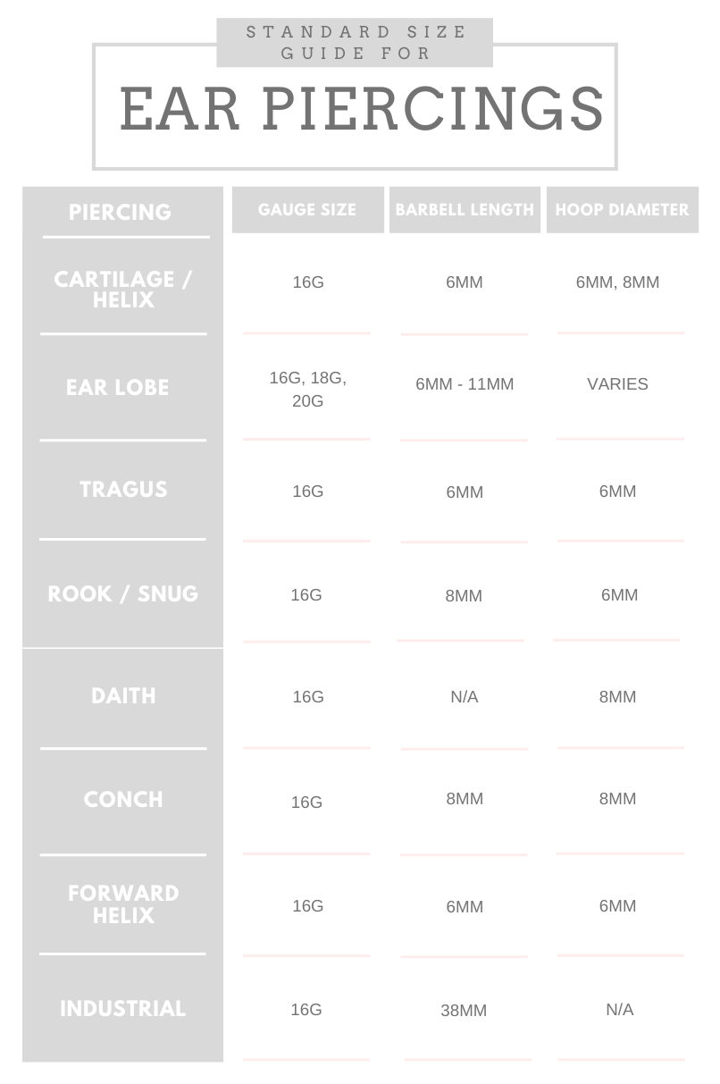 Download Conch Gauge Size Nomer 42