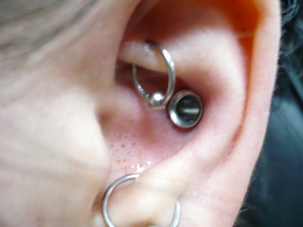 Detail Conch Gauges Nomer 11