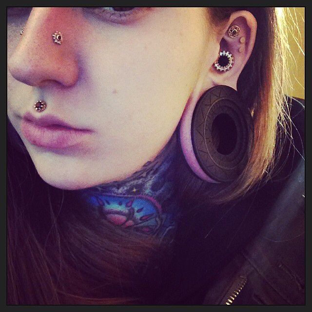 Detail Conch Gauges Nomer 21