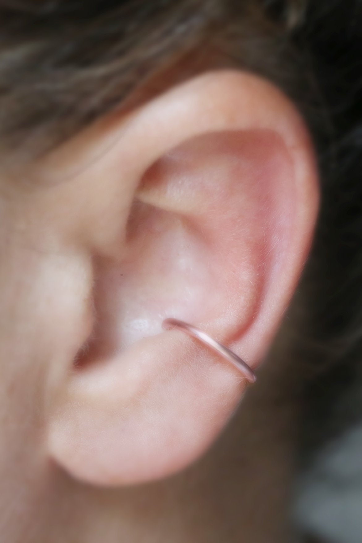 Detail Conch Gauges Nomer 23