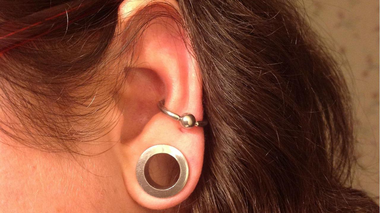 Detail Conch Gauges Nomer 25