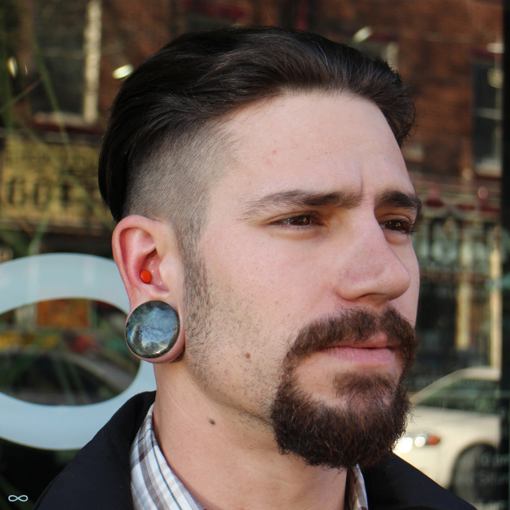 Detail Conch Gauges Nomer 30
