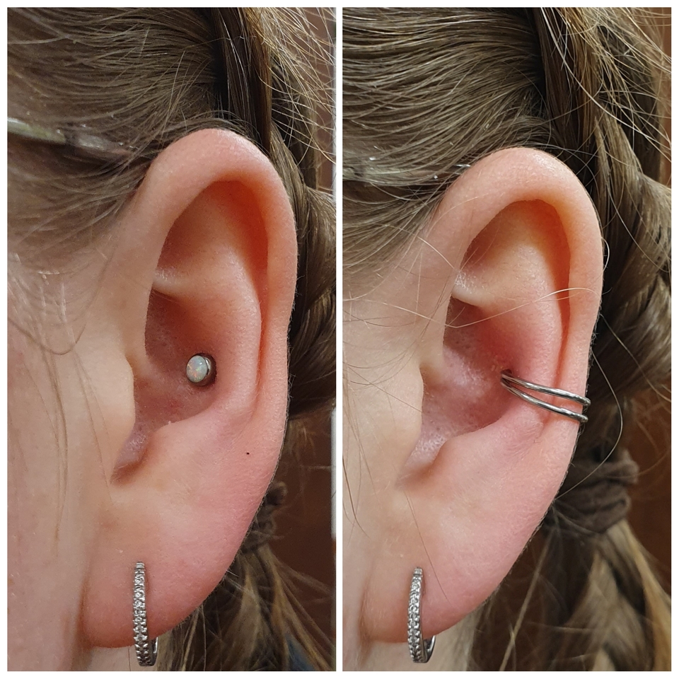 Detail Conch Gauges Nomer 31
