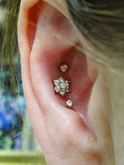 Detail Conch Gauges Nomer 36
