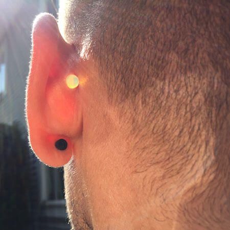 Detail Conch Gauges Nomer 5