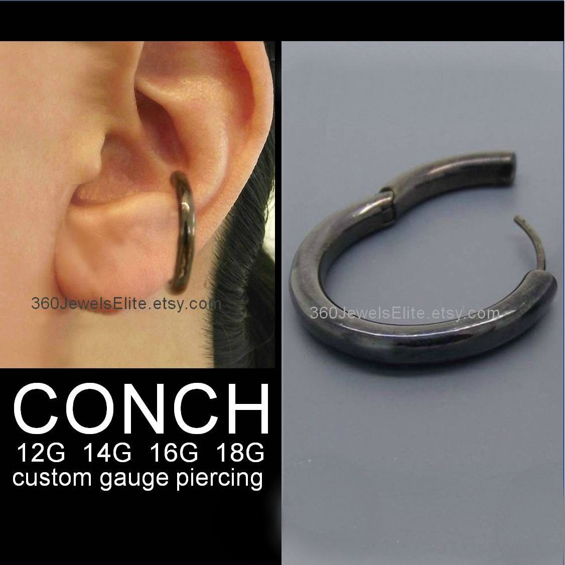 Detail Conch Gauges Nomer 41