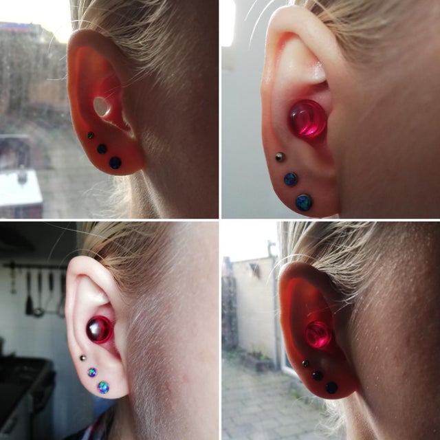 Detail Conch Gauges Nomer 45