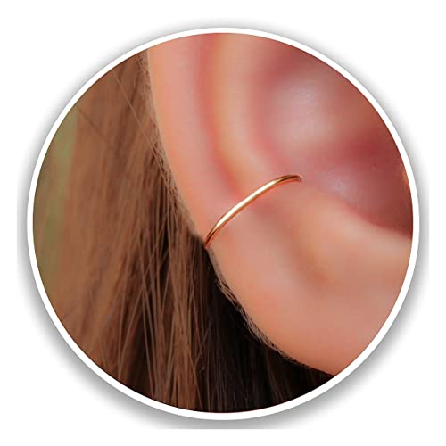 Detail Conch Gauges Nomer 46