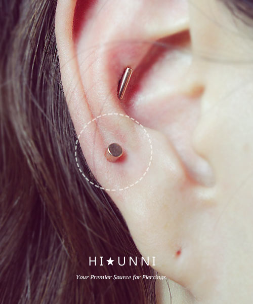 Detail Conch Gauges Nomer 47