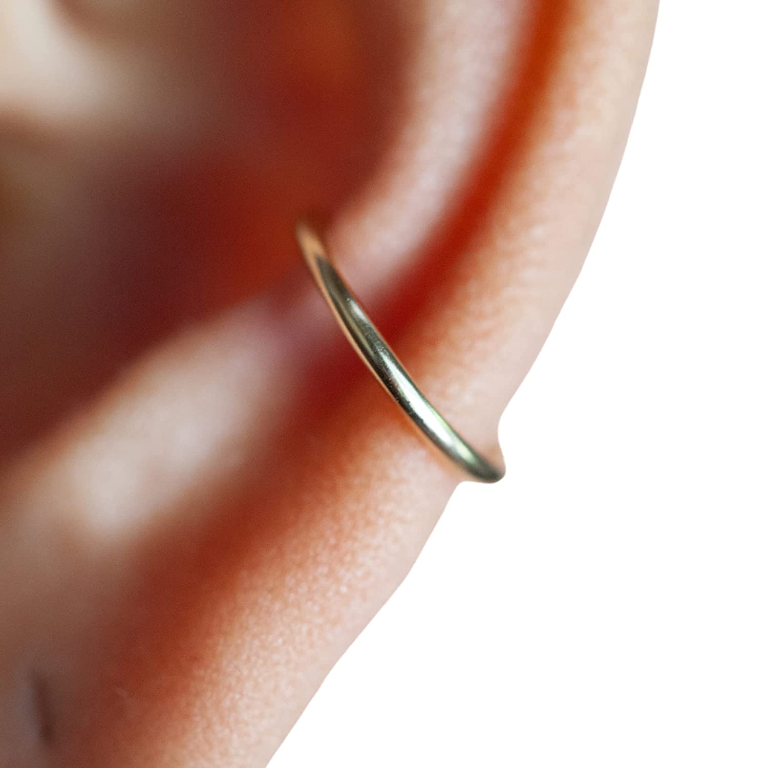 Detail Conch Gauges Nomer 49