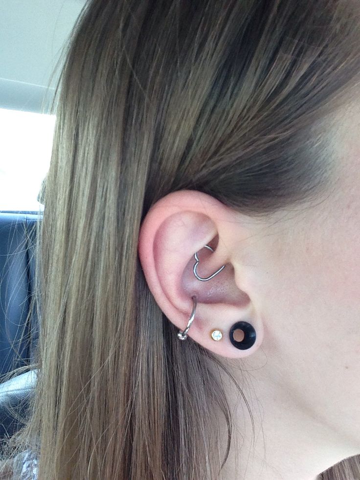 Detail Conch Gauges Nomer 52