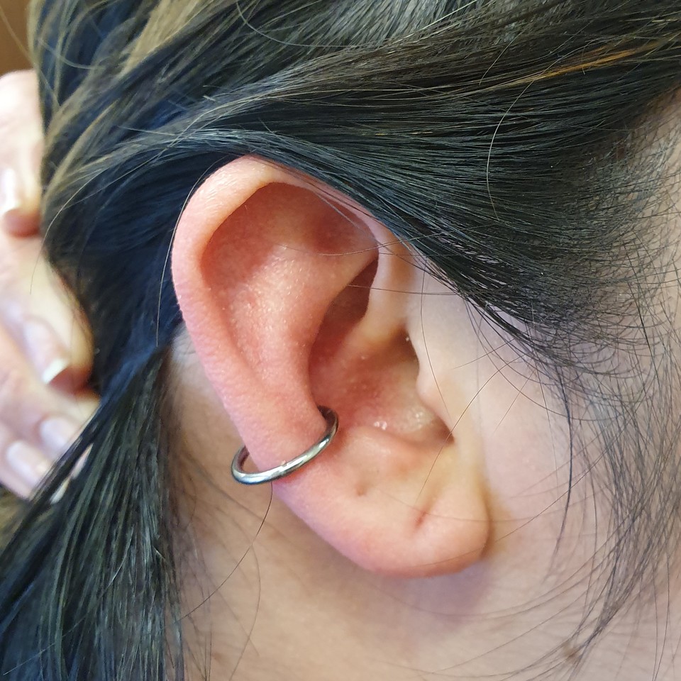 Detail Conch Gauges Nomer 9