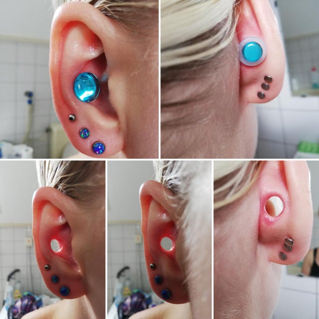 Detail Conch Gauges Nomer 10
