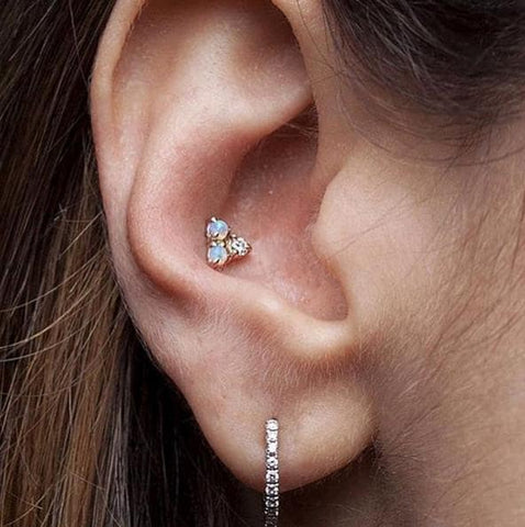 Detail Conch Piercing 14 Gauge Nomer 20