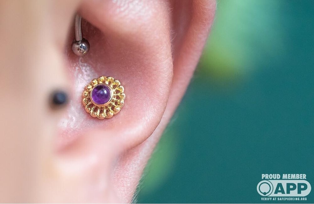 Detail Conch Piercing 14 Gauge Nomer 54