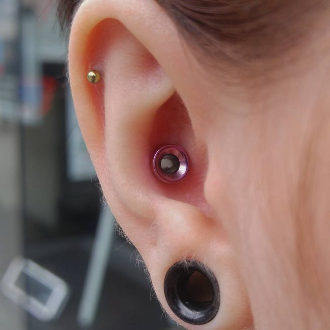 Detail Conch Piercing 14 Gauge Nomer 58
