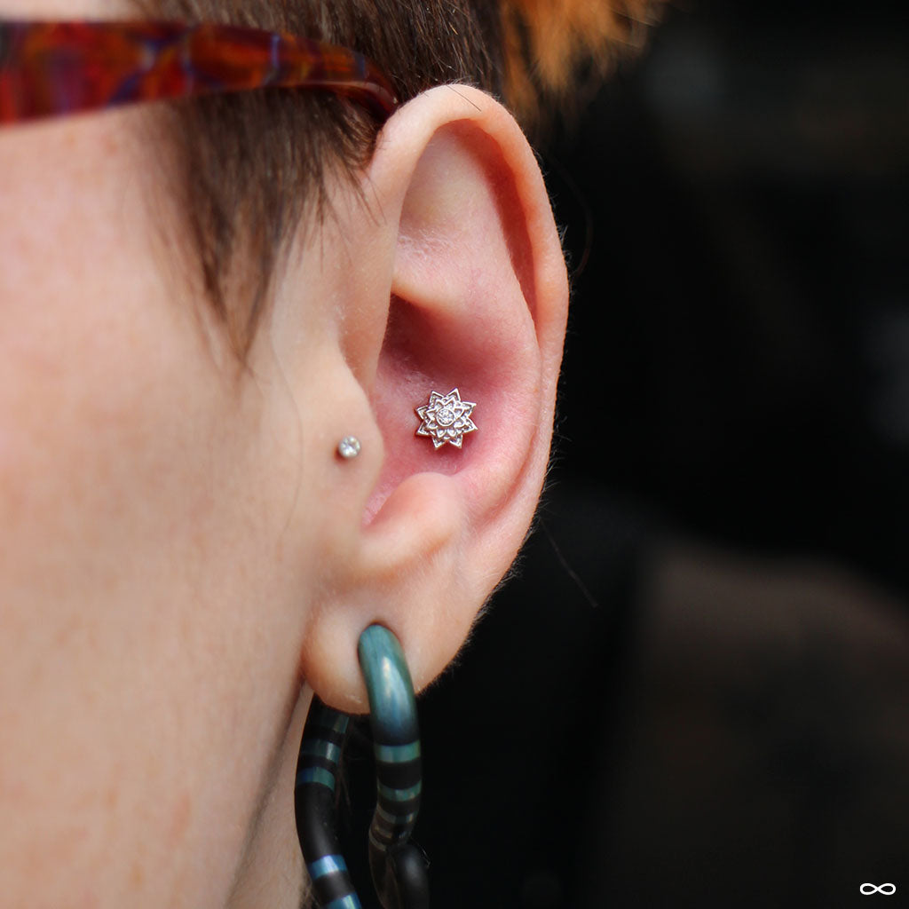 Detail Conch Piercing 14 Gauge Nomer 9