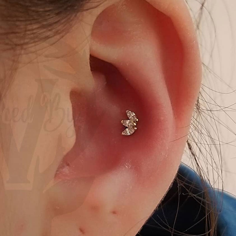 Detail Conch Piercing Jewelry Gold Nomer 47