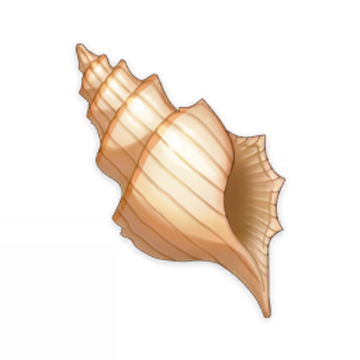 Detail Conch Png Nomer 36