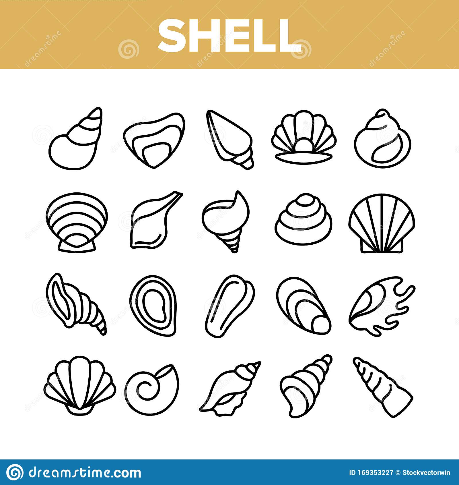 Detail Conch Vector Nomer 16