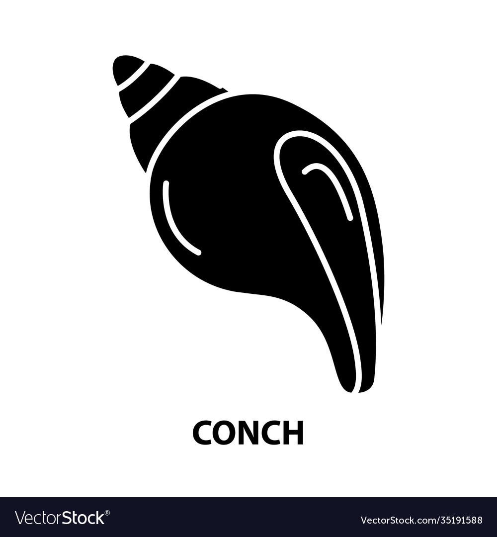 Detail Conch Vector Nomer 28