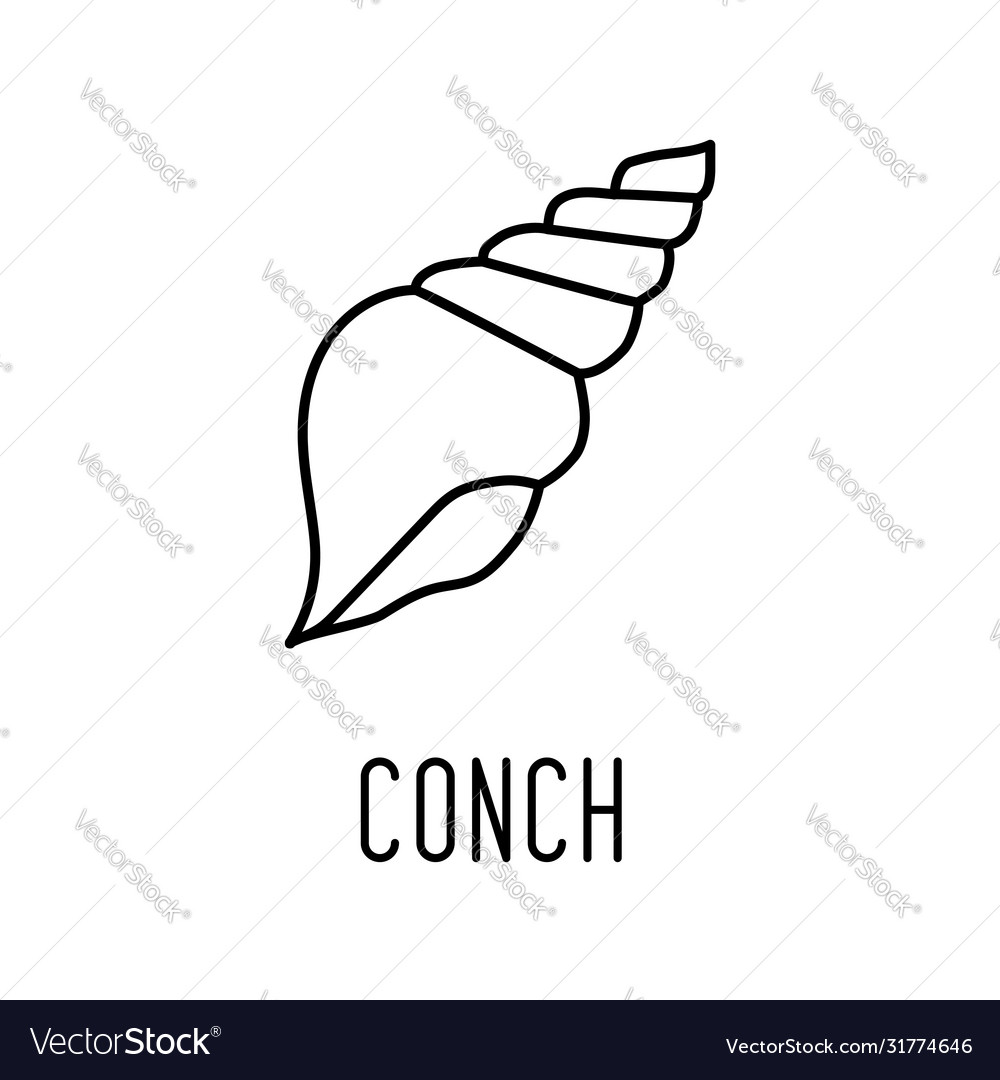 Detail Conch Vector Nomer 30