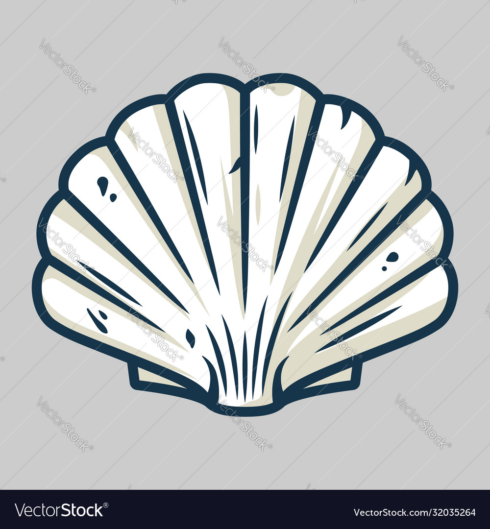 Detail Conch Vector Nomer 5