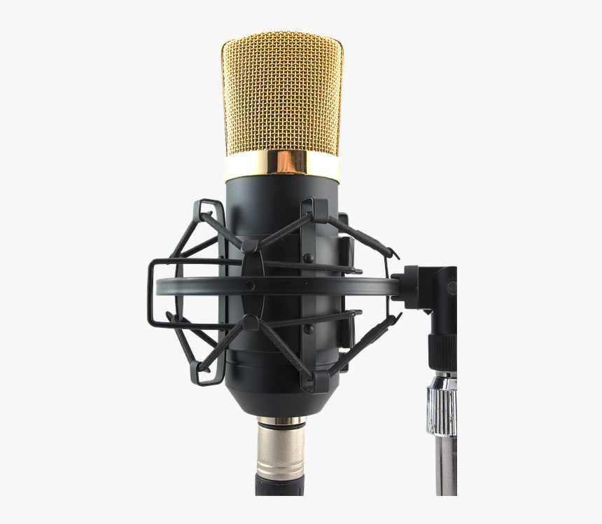 Detail Condenser Microphone Png Nomer 12