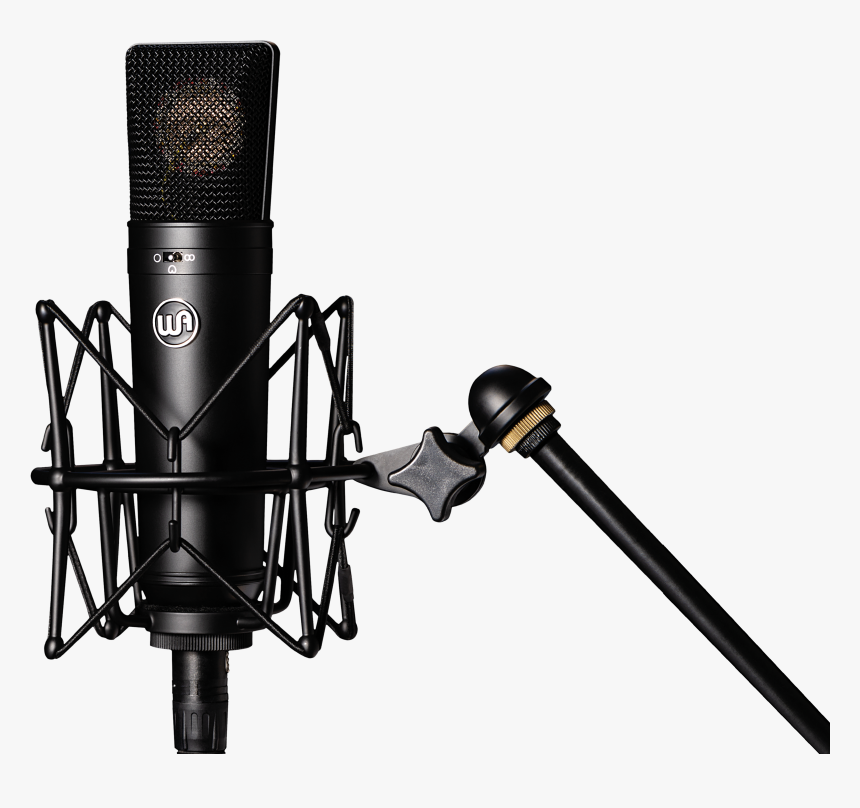 Detail Condenser Microphone Png Nomer 9