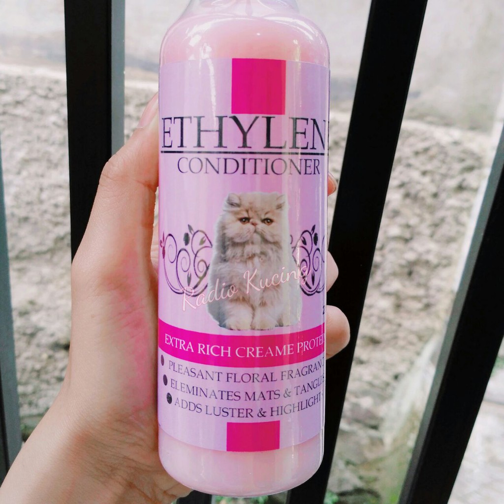 Detail Conditioner Kucing Nomer 2