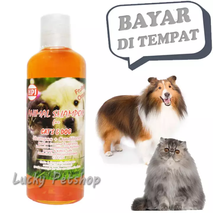 Detail Conditioner Kucing Nomer 35