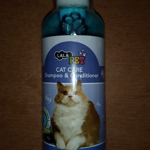 Detail Conditioner Kucing Nomer 40