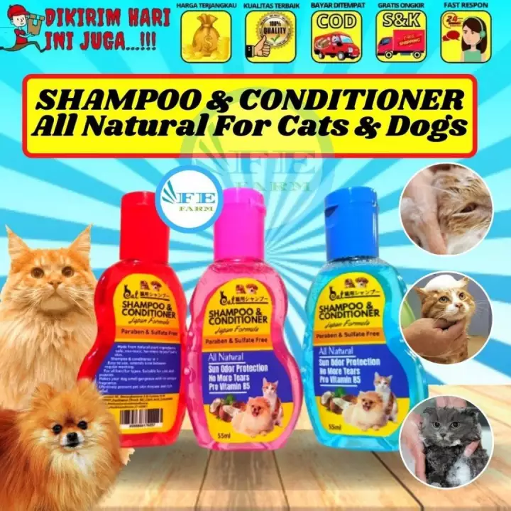 Detail Conditioner Kucing Nomer 51