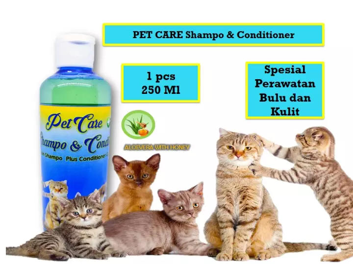 Detail Conditioner Kucing Nomer 53
