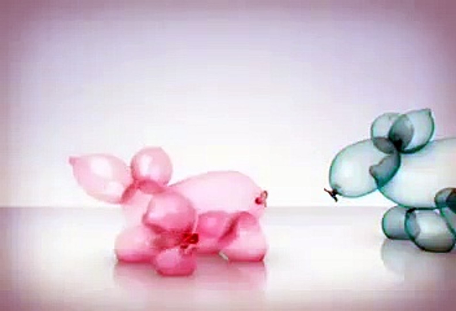 Detail Condom Commercial With Balloon Animals Nomer 2