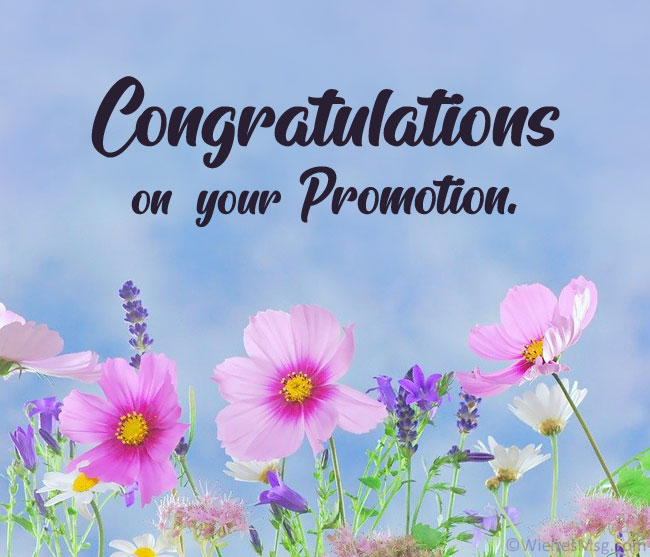 Congratulations Quotes For Promotion - KibrisPDR