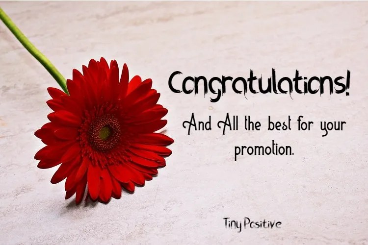 Detail Congratulations Quotes For Promotion Nomer 24