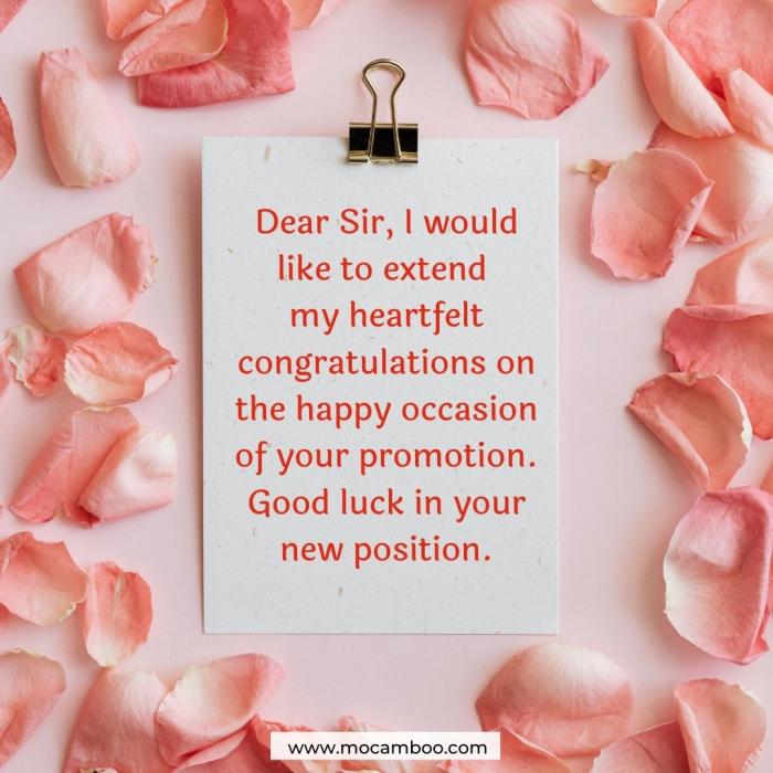 Detail Congratulations Quotes For Promotion Nomer 33
