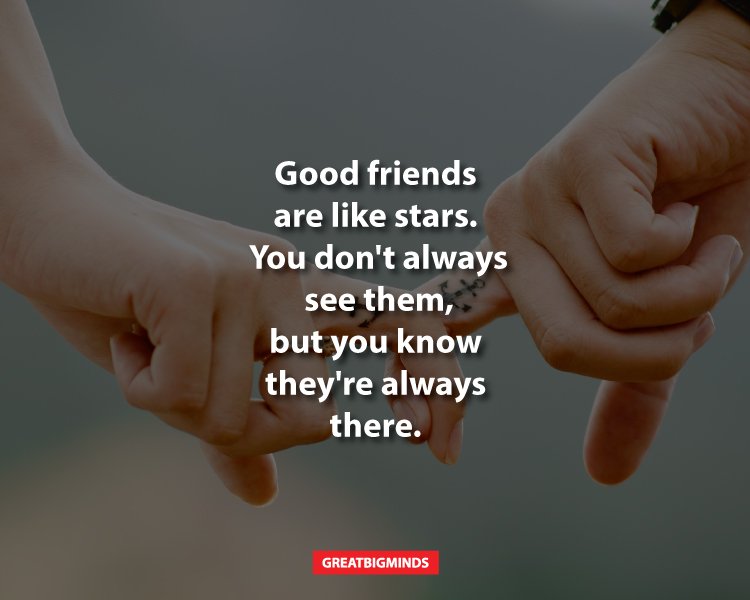 Detail Connection Friendship Quotes Nomer 29