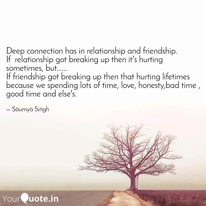 Detail Connection Friendship Quotes Nomer 51