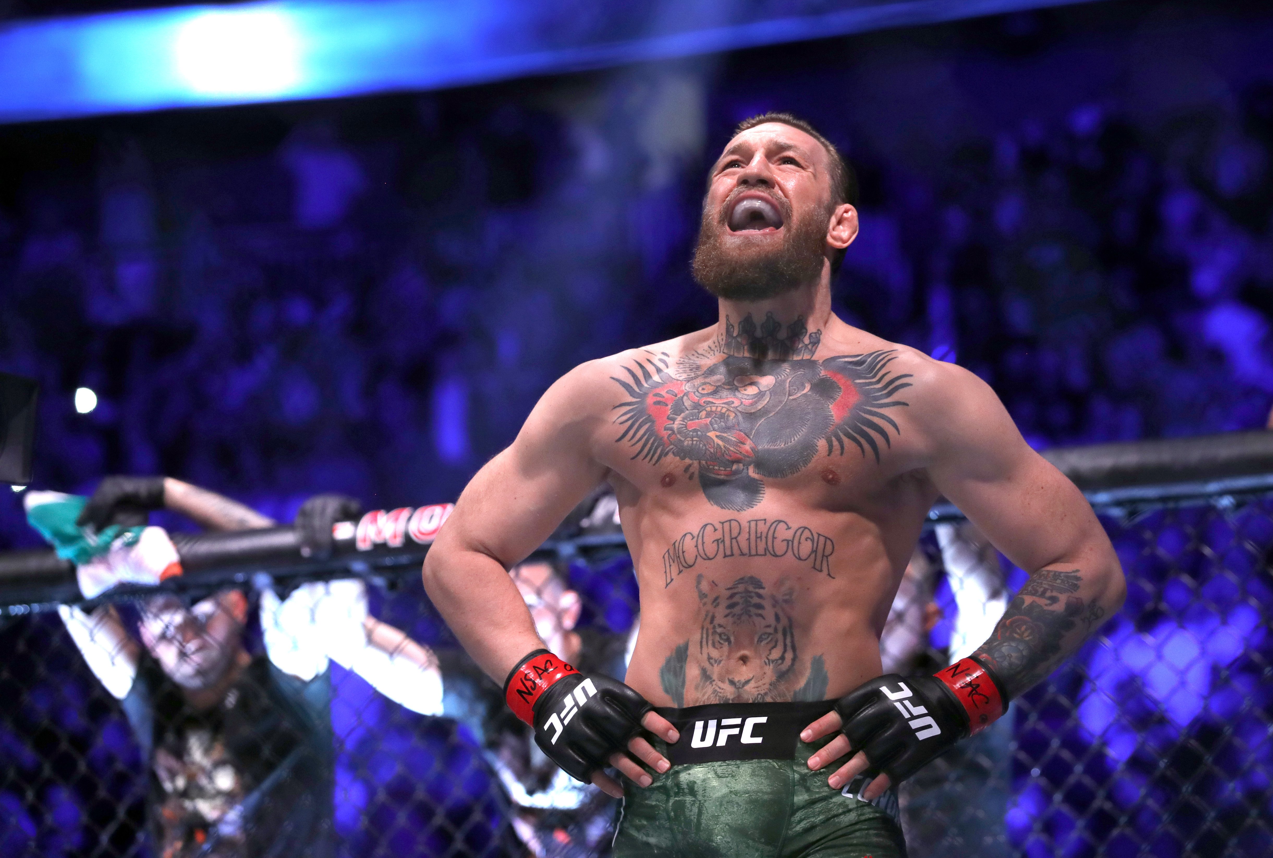 Detail Connor Mcgregor Pics Nomer 3