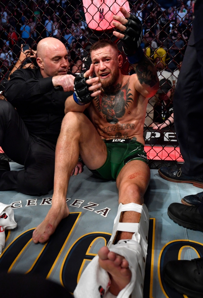 Detail Connor Mcgregor Pics Nomer 39