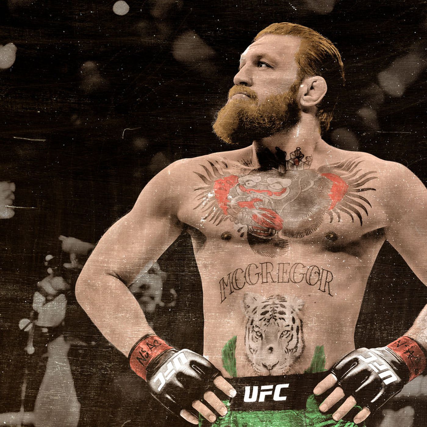 Detail Connor Mcgregor Pics Nomer 7