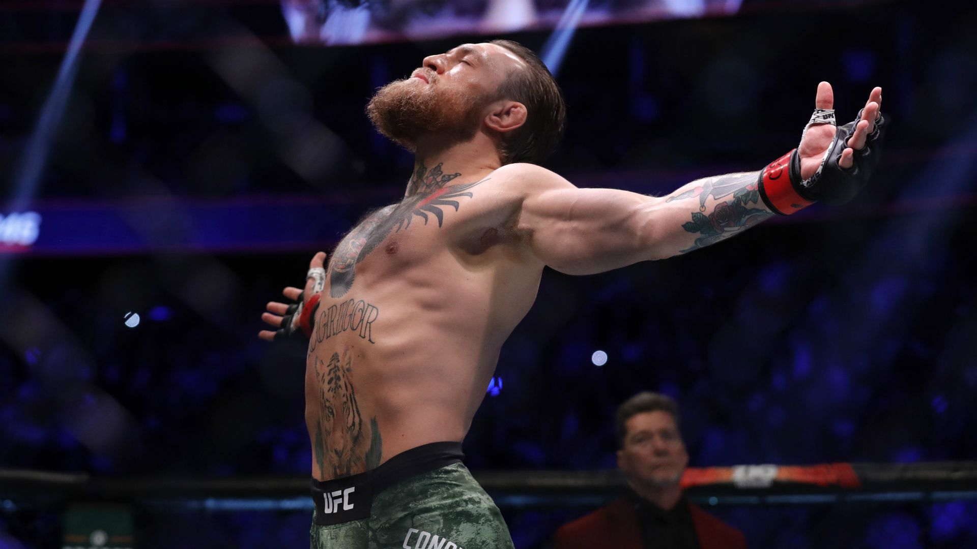 Detail Conor Mcgregor Background Nomer 14