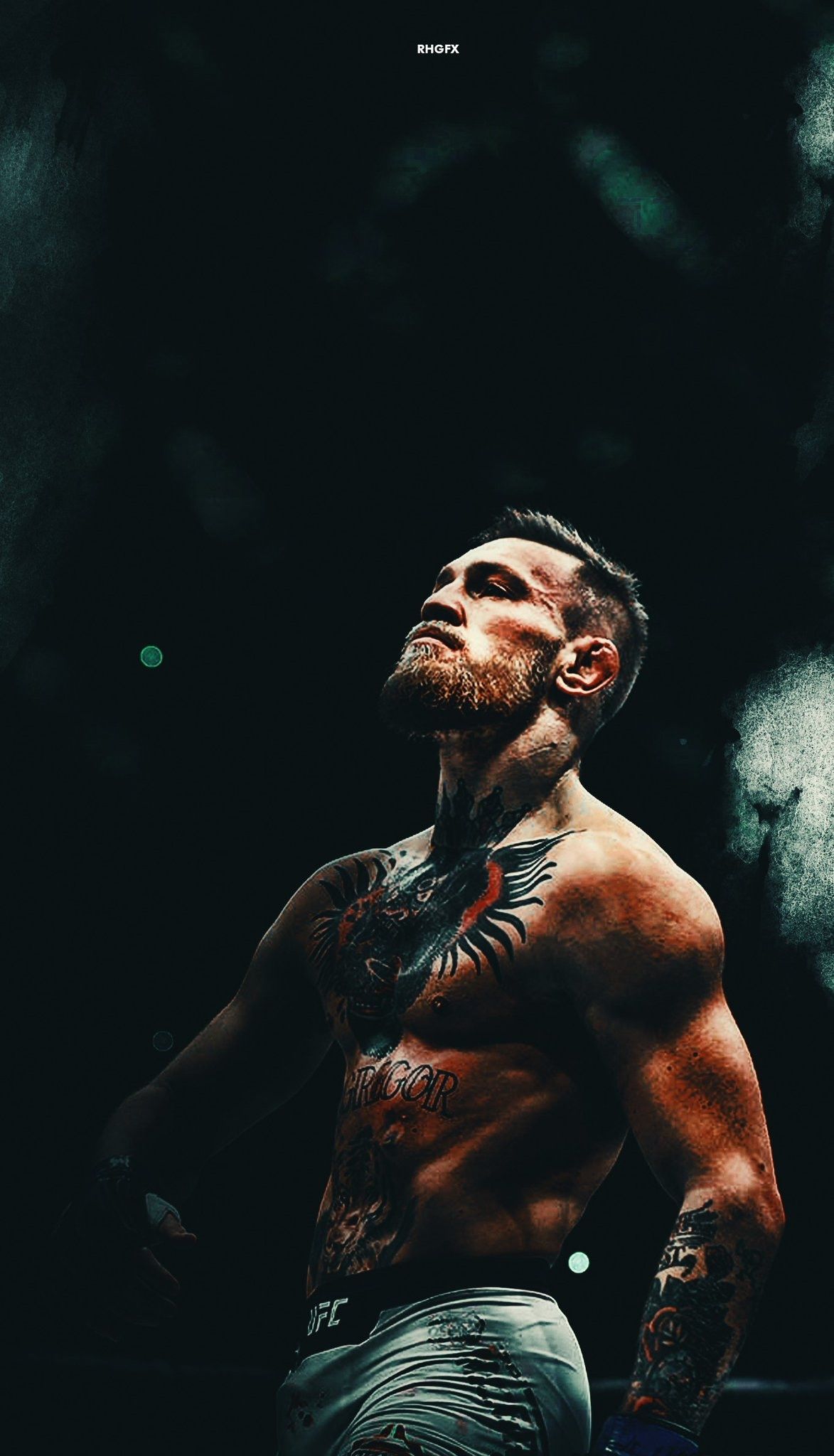 Detail Conor Mcgregor Background Nomer 4